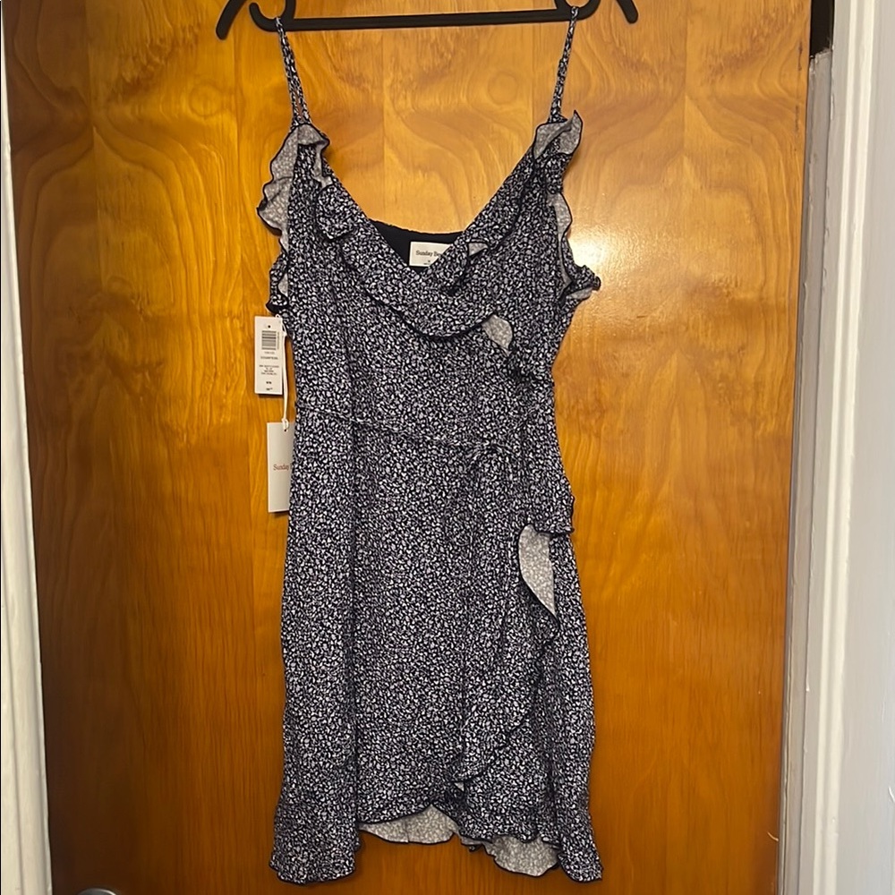 Aritzia Sunday Best Countess Dress